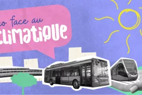 Agrandir l'image - fenêtre modale